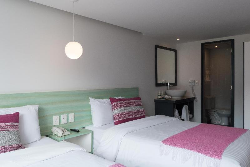 Номер Стандарт, Fontan Reforma Centro Historico