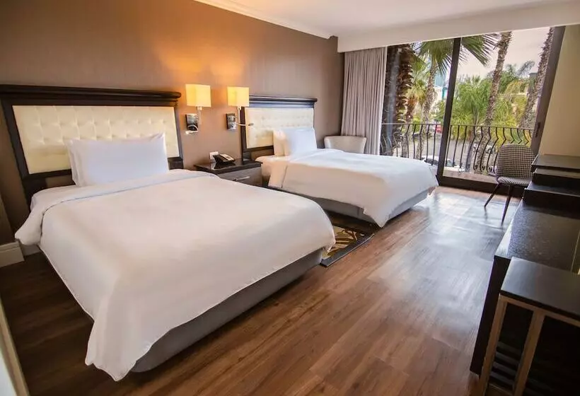 اتاق اجرایی, Lucerna Tijuana