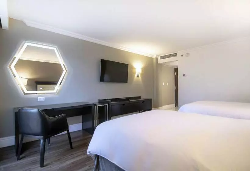 اتاق اجرایی, Lucerna Tijuana