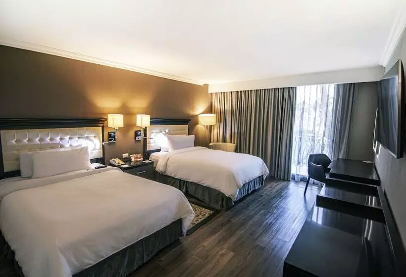 اتاق اجرایی, Lucerna Tijuana