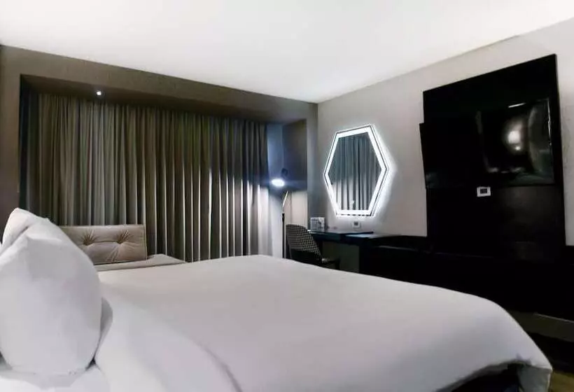اتاق لوکس با تخت بزرگ, Lucerna Tijuana