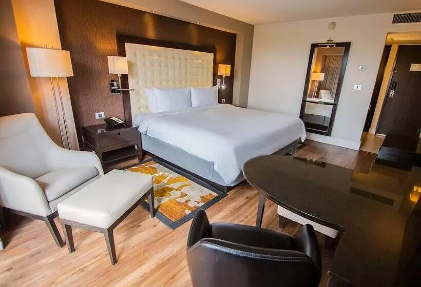 اتاق لوکس با تخت بزرگ, Lucerna Tijuana