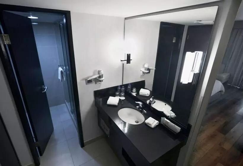 اتاق لوکس با تخت بزرگ, Lucerna Tijuana