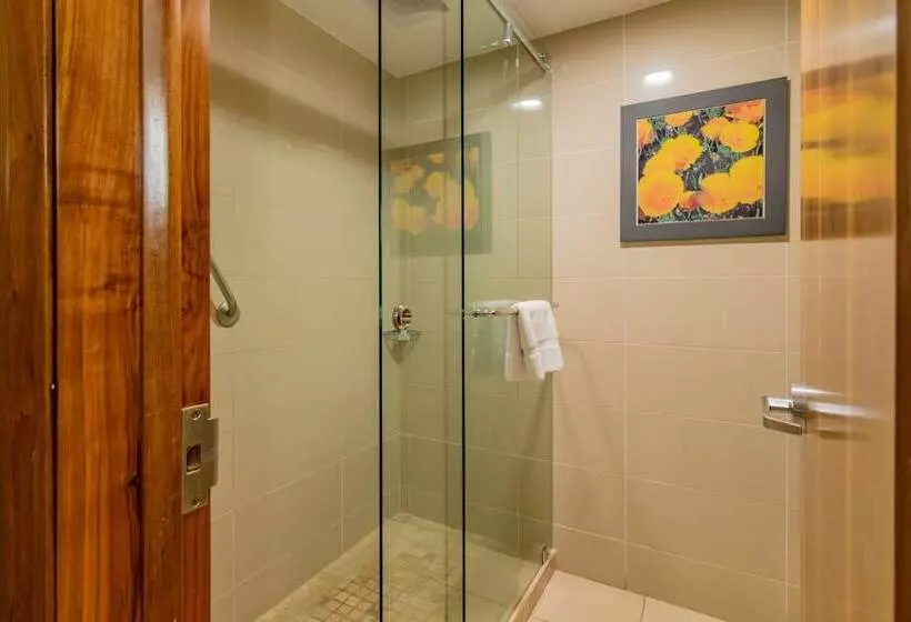 اتاق استاندارد با تخت بزرگ, Lucerna Tijuana