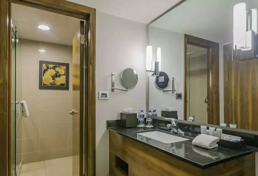 اتاق استاندارد با تخت بزرگ, Lucerna Tijuana