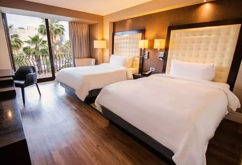اتاق لوکس, Lucerna Tijuana