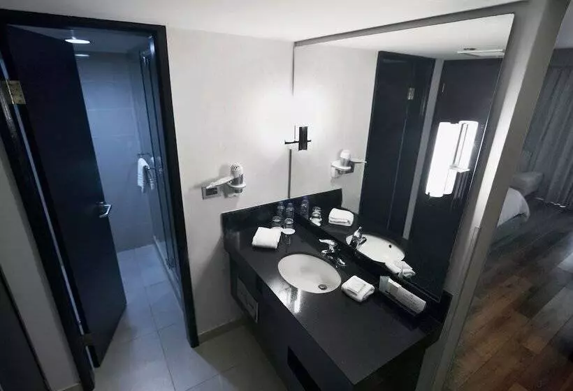 اتاق لوکس با تخت بزرگ, Lucerna Tijuana