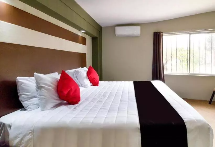 سوییت جونیور, La Fuente, Saltillo