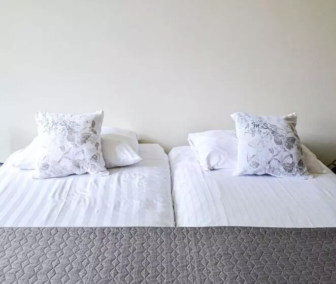 اتاق استاندارد با سرویس بهداشتی مشترک, Family Hotel Kooyk