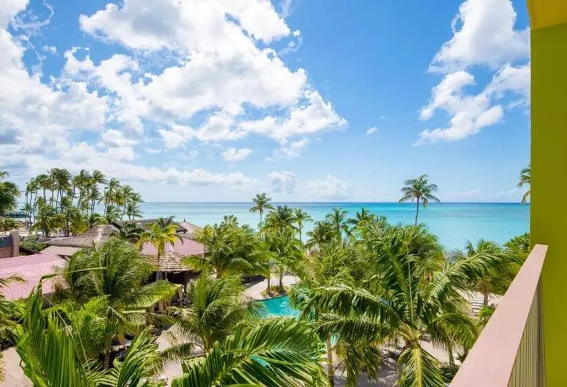سوئیت با تخت بزرگ, Holiday Inn Resort Aruba   Beach Resort & Casino, An Ihg