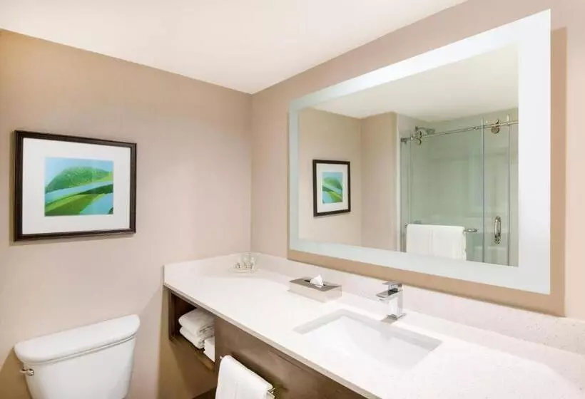 سوئیت با تخت بزرگ, Holiday Inn Resort Aruba   Beach Resort & Casino, An Ihg