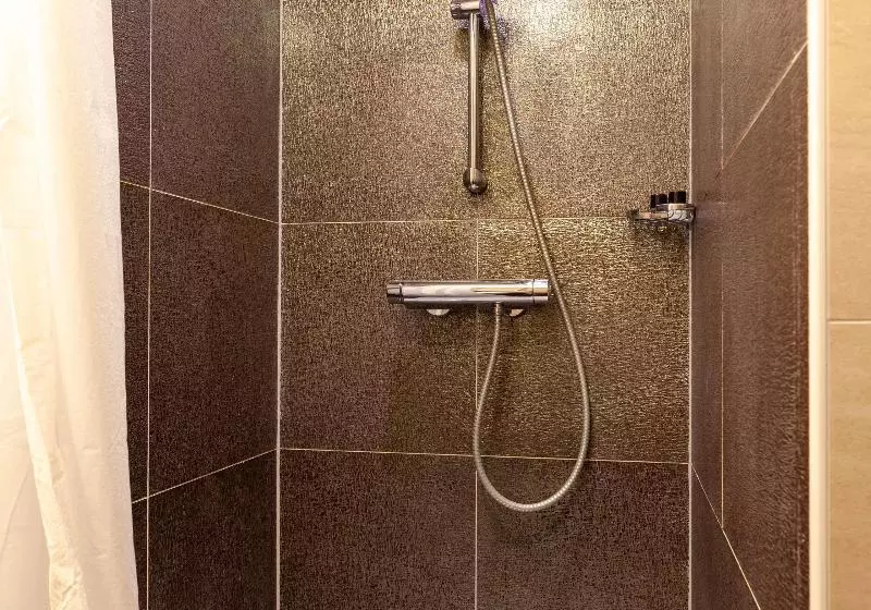 اتاق استاندارد, Grand Museum Hotel, Bw Signature Collection
