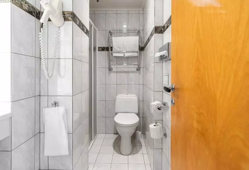 Standard Enkeltværelse, Fleischer S