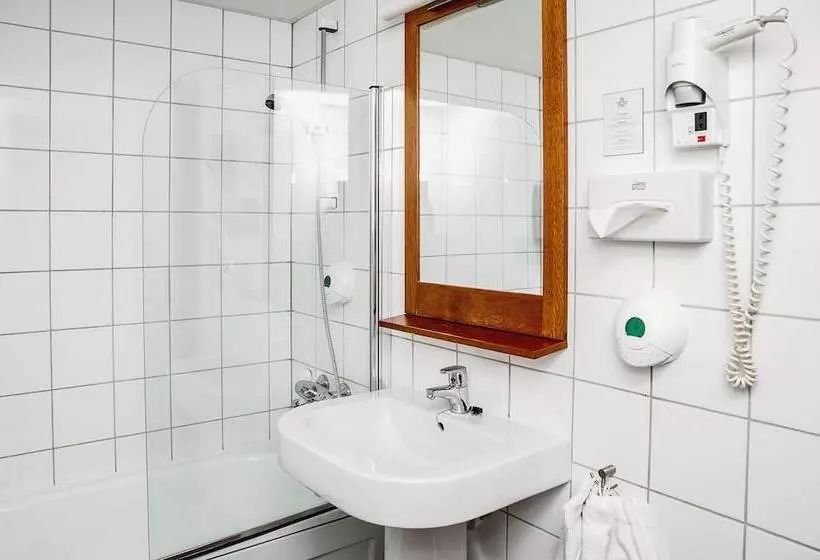 Standard Værelse m. Udsigt, Fleischer S