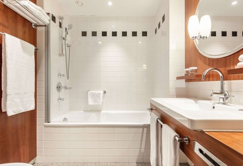 Номер Deluxe, Hilton Amsterdam