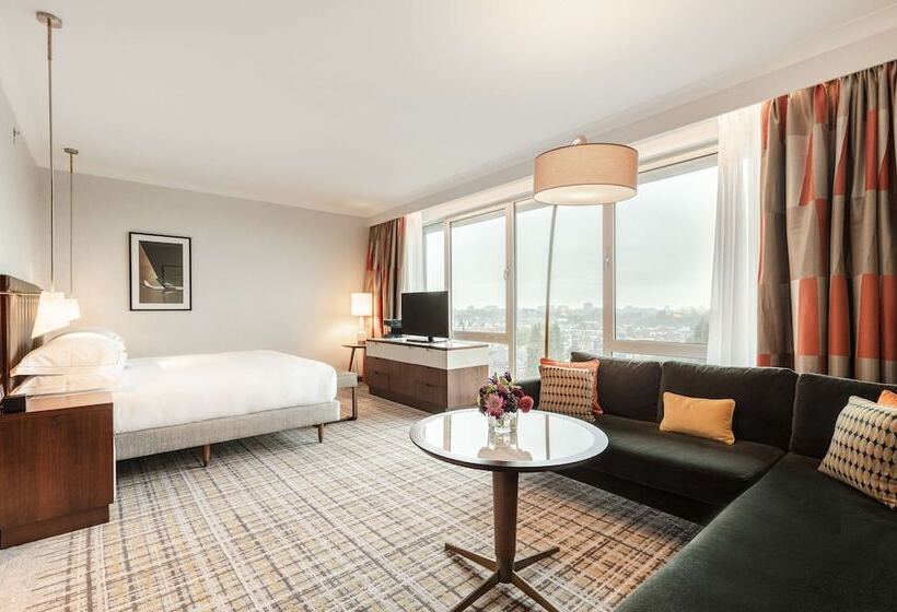 Полулюкс Кровать Кинг, Hilton Amsterdam