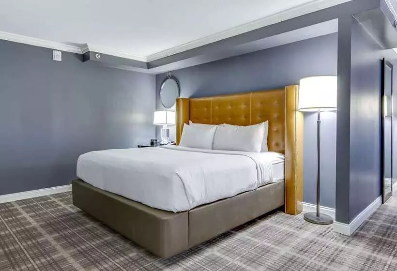 اتاق سوپریور با تخت بزرگ, Hilton Amsterdam