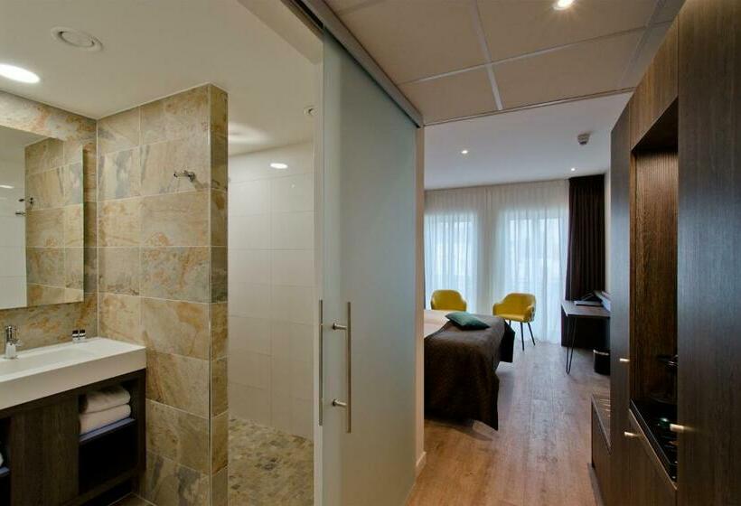 اتاق استاندارد, Roermond