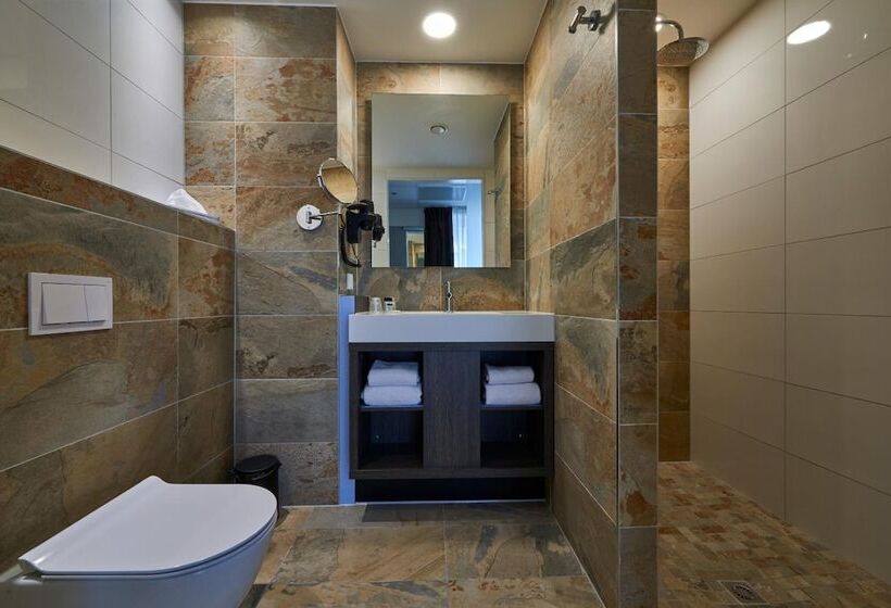 اتاق استاندارد, Roermond