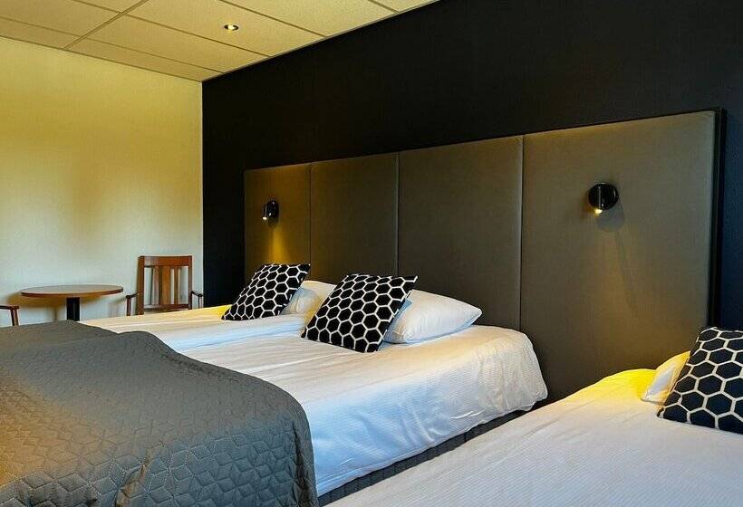 חדר סטנדרט לשלושה, Wapen Van Delden