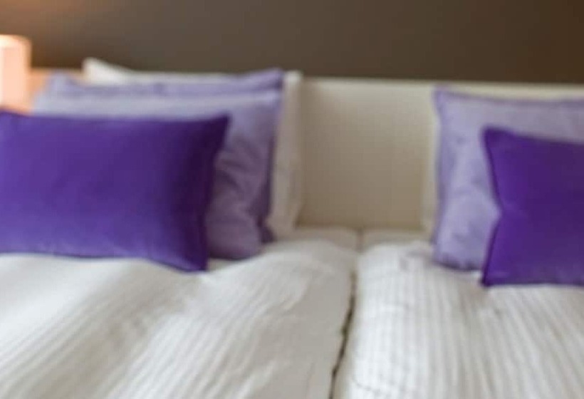 اتاق راحتی, Van Der Valk Hotel Apeldoorn   De Cantharel