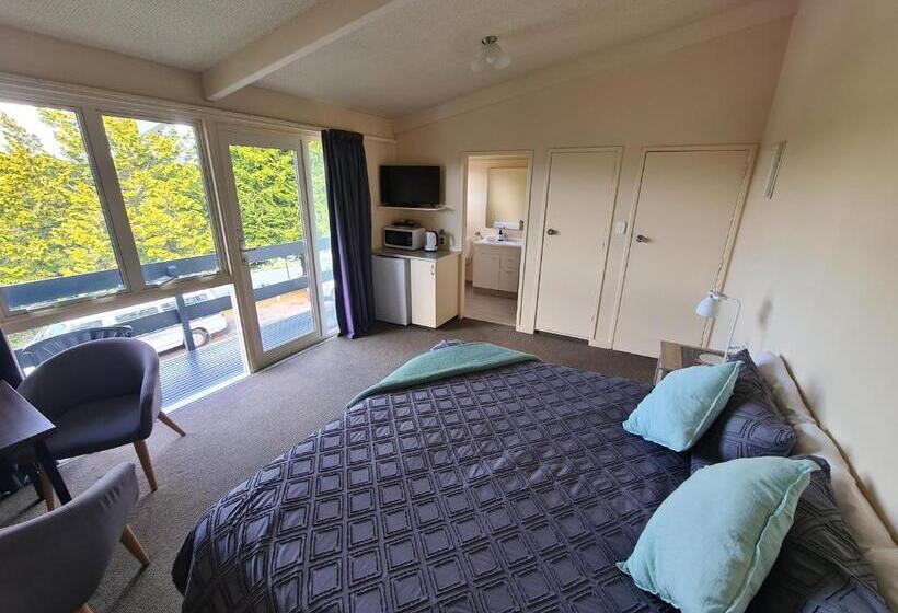 스탠다드 룸 킹사이즈 침대, Caves Motor Inn