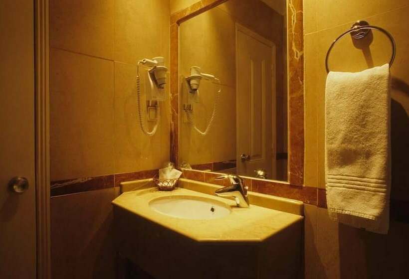 Camera Standard, Dom Sancho I