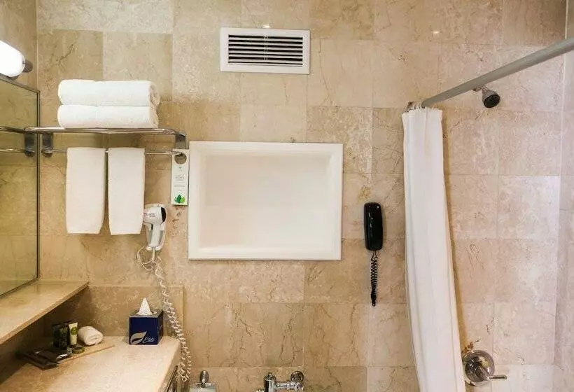 Premium Room City View, El Panamá by Faranda Grand