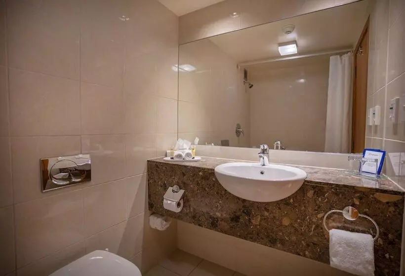 اتاق استاندارد, Kingsgate Hotel Te Anau