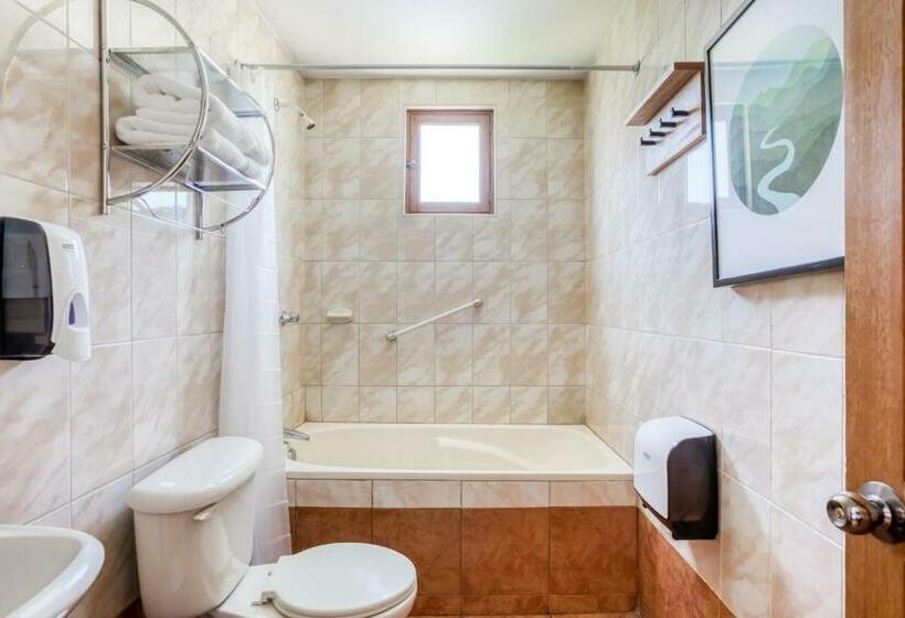 패밀리 룸, Socialtel Arequipa Formerly Selina Arequipa