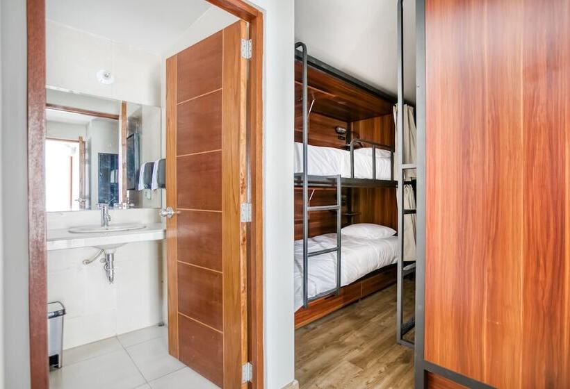 공동 객실, Socialtel Arequipa Formerly Selina Arequipa