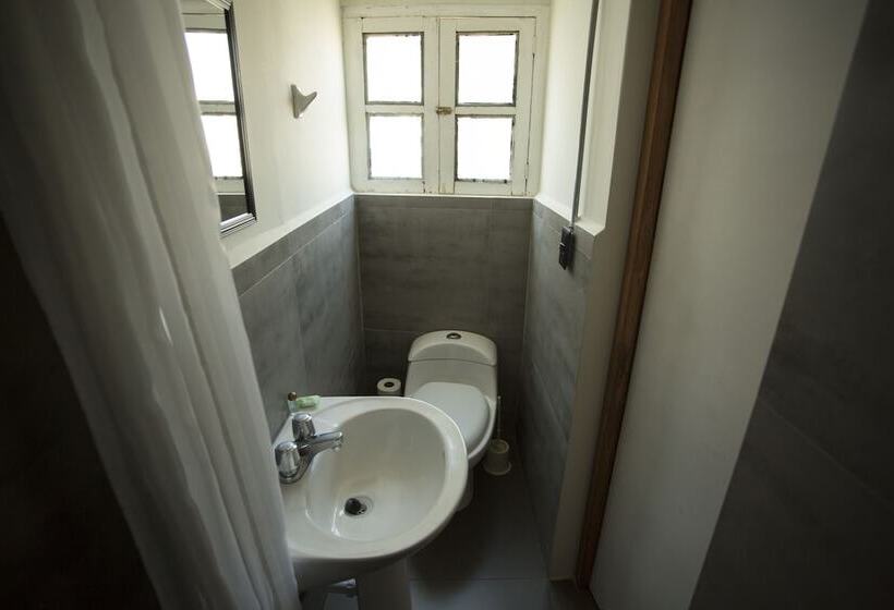 스탠다드 룸, Socialtel Arequipa Formerly Selina Arequipa