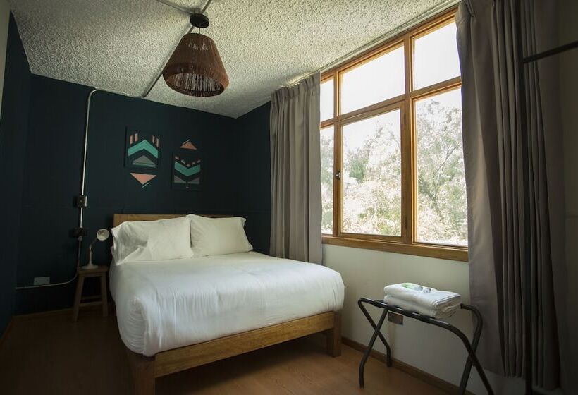 기본 룸 공용 욕실, Socialtel Arequipa Formerly Selina Arequipa