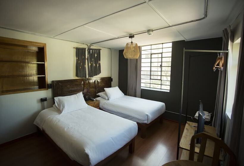 스탠다드 룸, Socialtel Arequipa Formerly Selina Arequipa