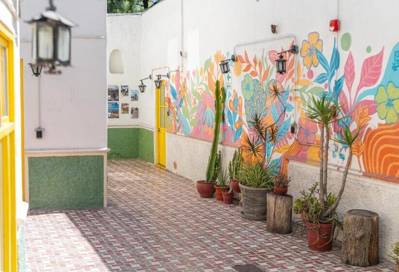 공동 객실, Socialtel Arequipa Formerly Selina Arequipa