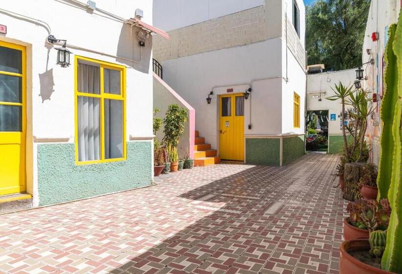 공동 객실, Socialtel Arequipa Formerly Selina Arequipa