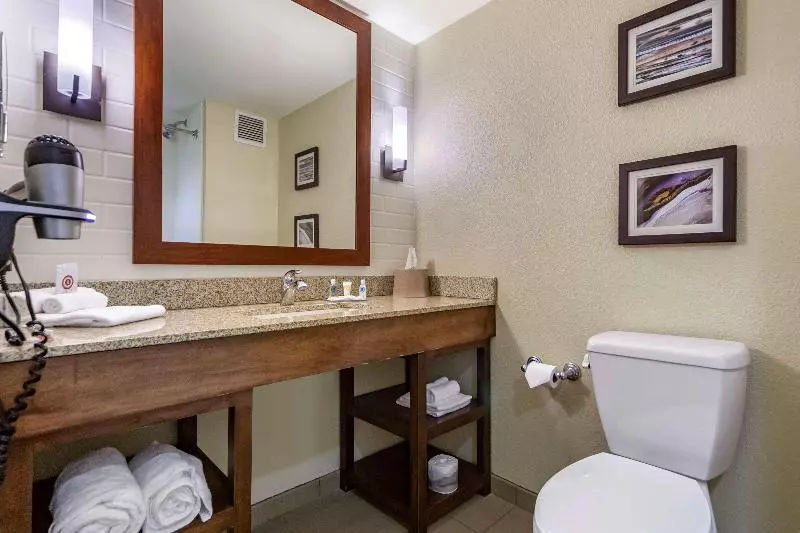 اتاق استاندارد با تخت بزرگ, Courtyard By Marriott San Juan Miramar