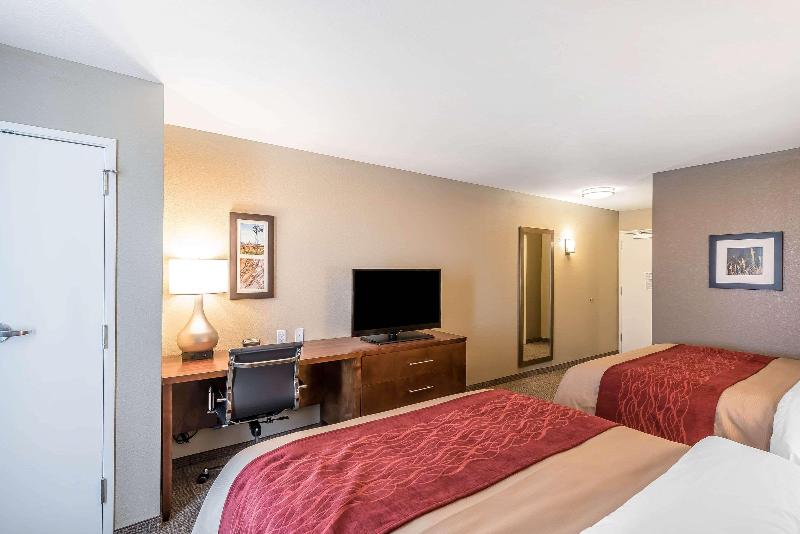 اتاق استاندارد با تخت بزرگ, Courtyard By Marriott San Juan Miramar