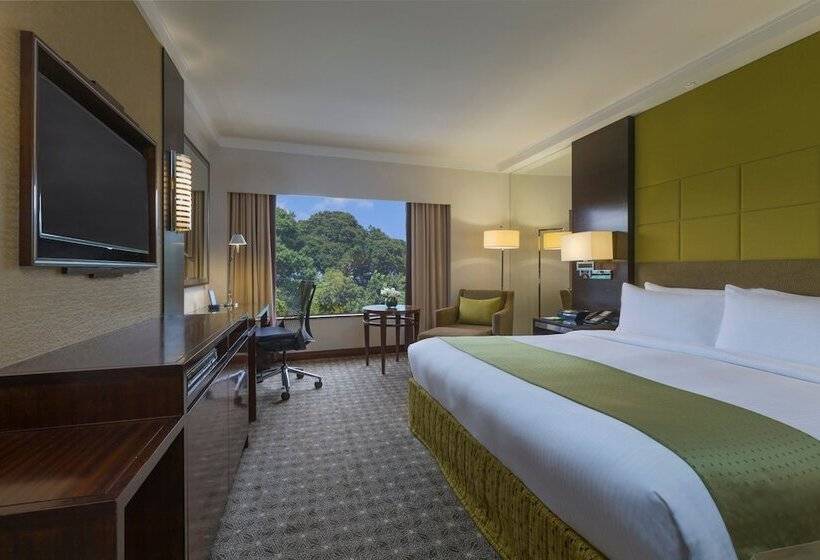 اتاق پرمیوم, Holiday Inn Singapore Orchard City Centre, An Ihg