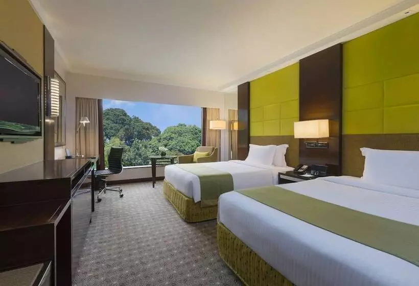 اتاق استاندارد, Holiday Inn Singapore Orchard City Centre, An Ihg
