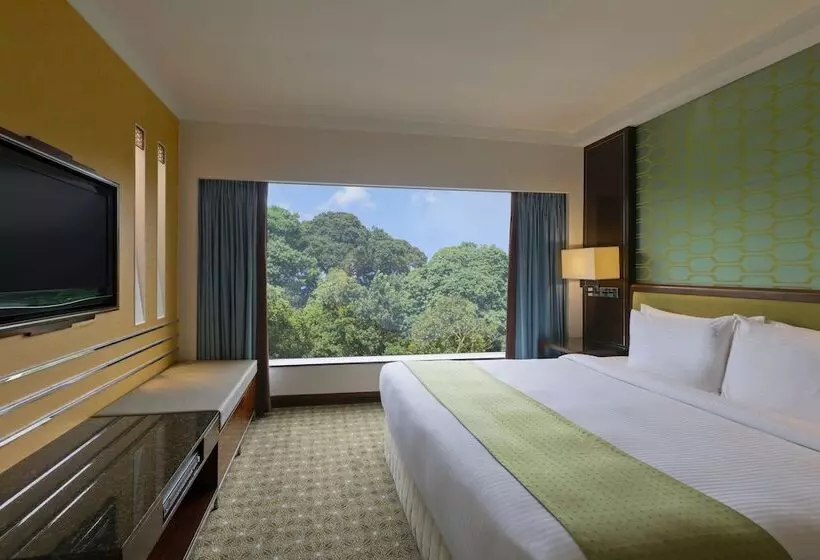 اتاق استاندارد, Holiday Inn Singapore Orchard City Centre, An Ihg