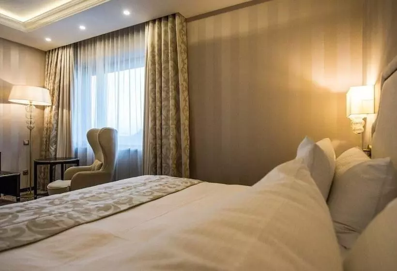 اتاق استاندارد با تخت بزرگ, Prahova Plaza