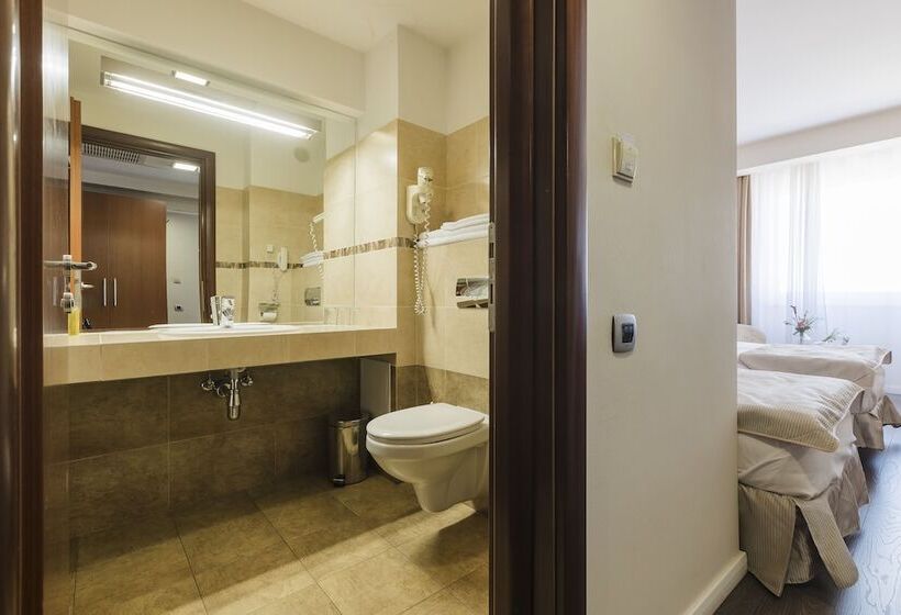 商务房间, Timisoara