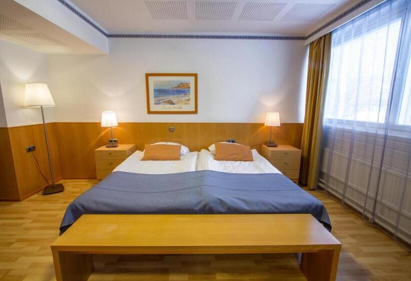 스탠다드 룸, Economy Hotel Savonia