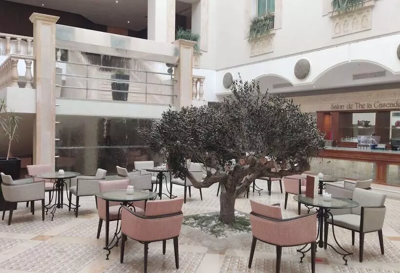اتاق سوپریور, Les Oliviers Palace