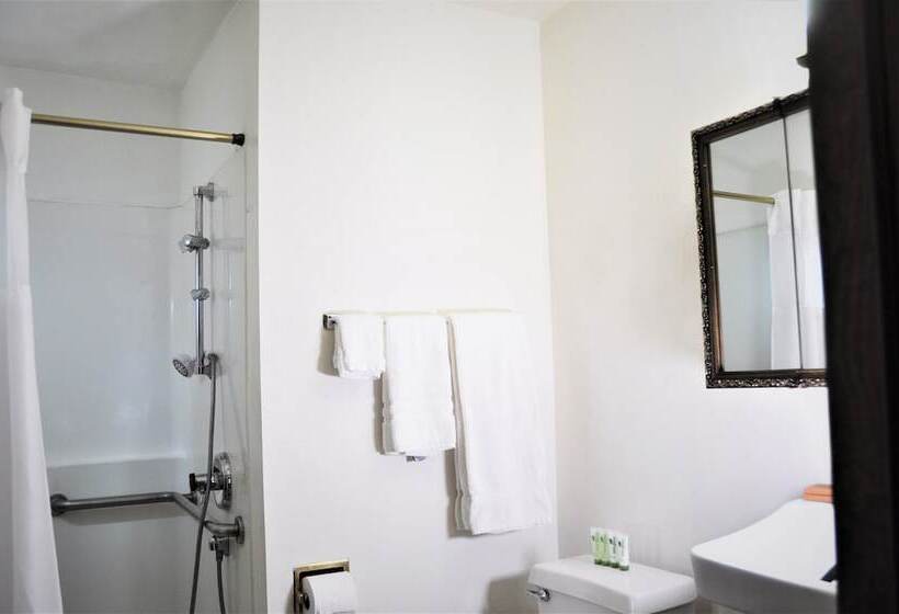 غرفة قياسية, Alaskan Hotel And Bar