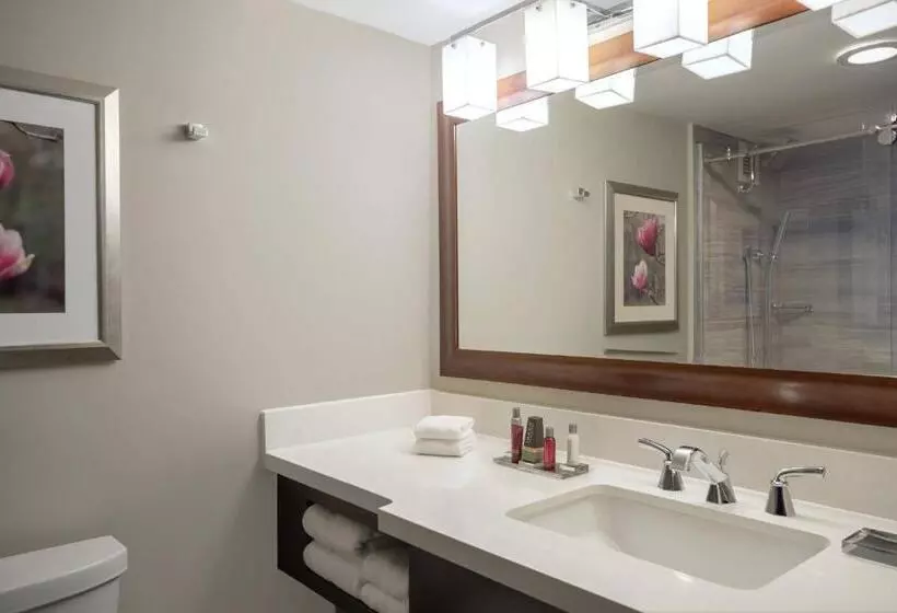 2ダブルベッドのスタンダードルーム, Atlanta Marriott Perimeter Center