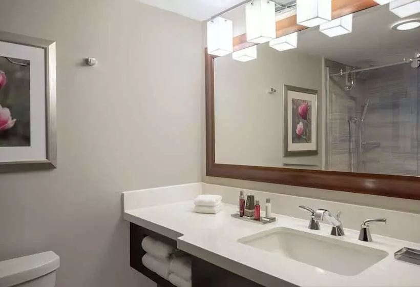 2ダブルベッドのスタンダードルーム, Atlanta Marriott Perimeter Center