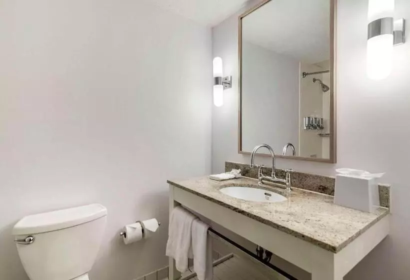 اتاق استاندارد با تخت بزرگ, Bangor Aviator Hotel Bw Premier Collection