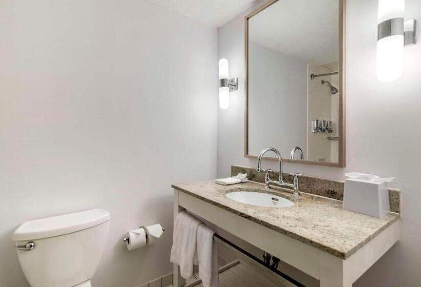 غرفة قياسية سرير كينج لذوى الإحتياجات الخاصة, Bangor Aviator Hotel Bw Premier Collection